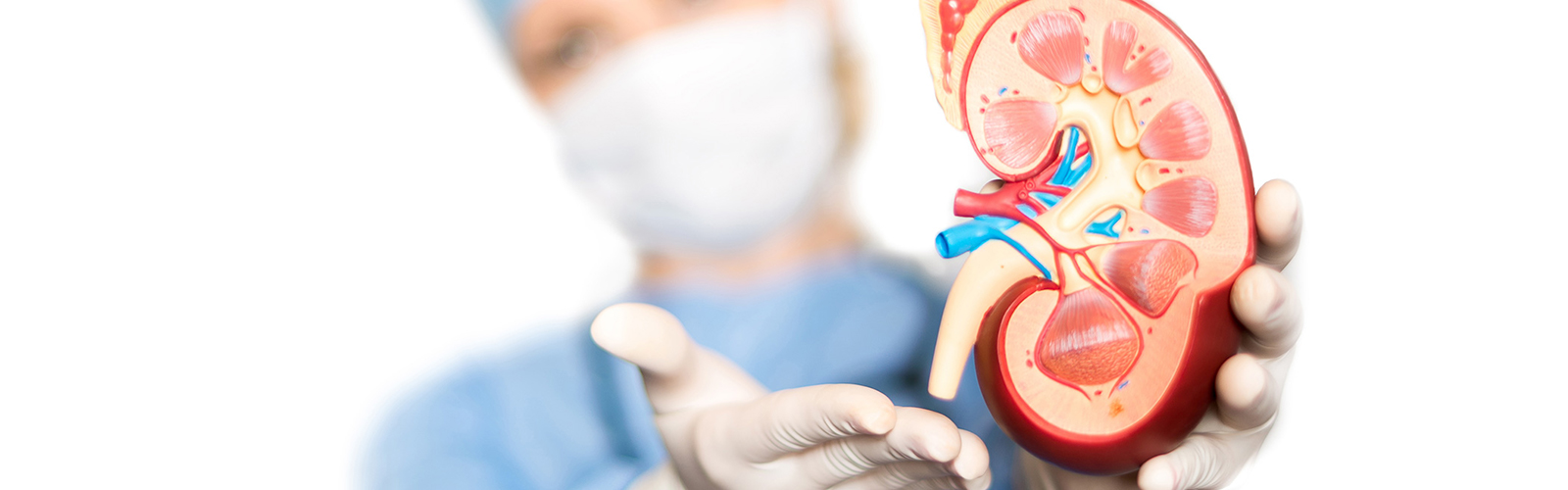 Urology